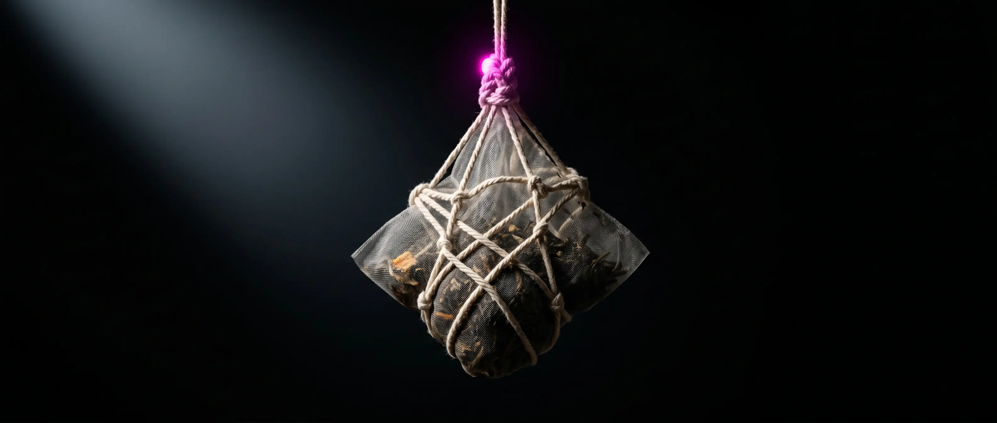 Bound in jute. One purple knot. Held in the dark.